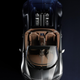 Illustration for article titled The Final Legends Bugatti Veyron Is Simply Stunning